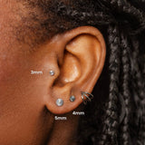 Cassis Diamond Cut Disc Titanium Flat Back Sleeper Earrings